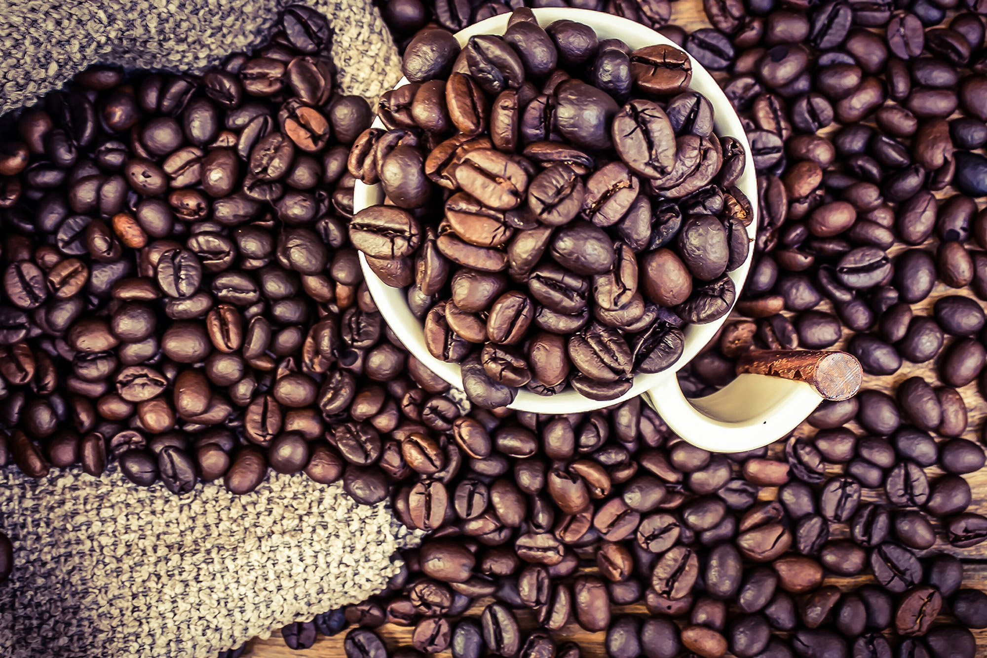 Explore the Different Varieties of Coffee Beans